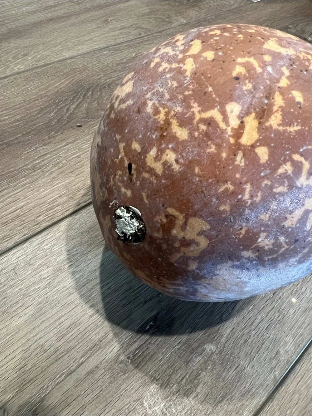 Decorative Rustic Gourd Accent - Orange Speckle